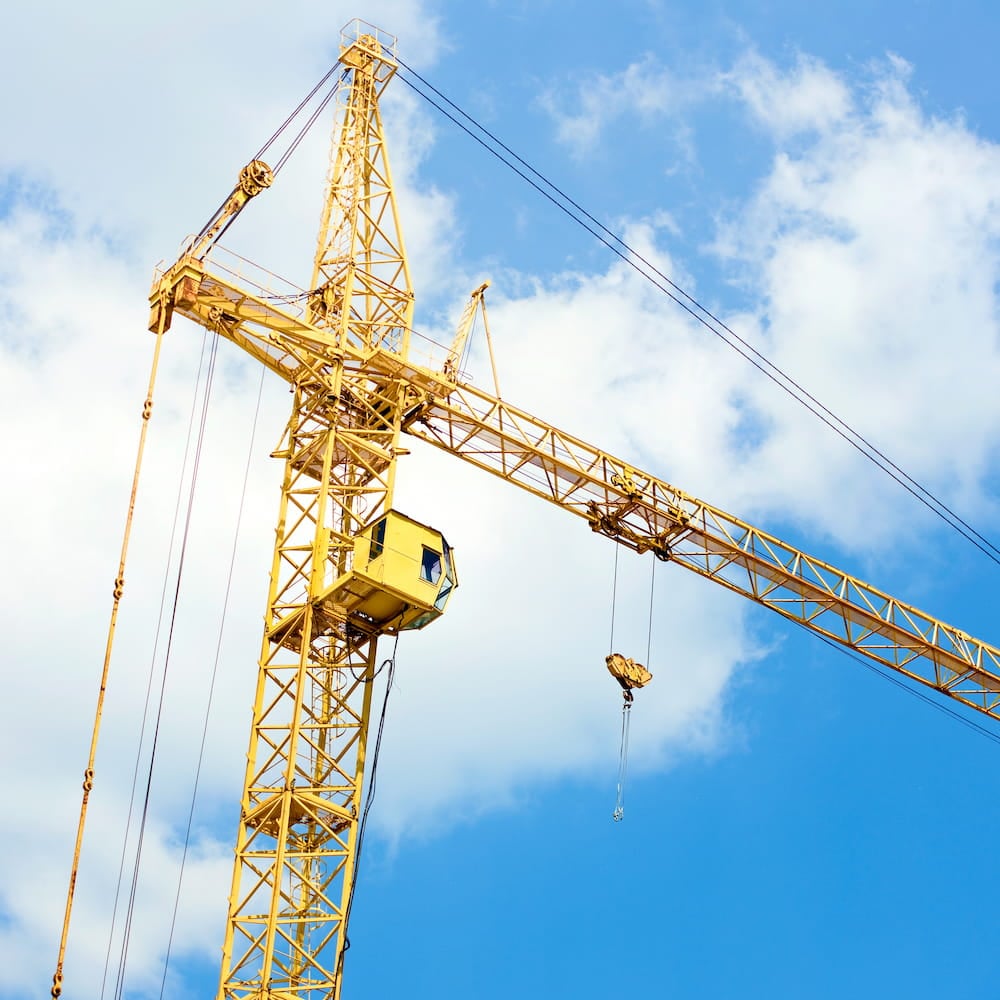 Yellow Crane